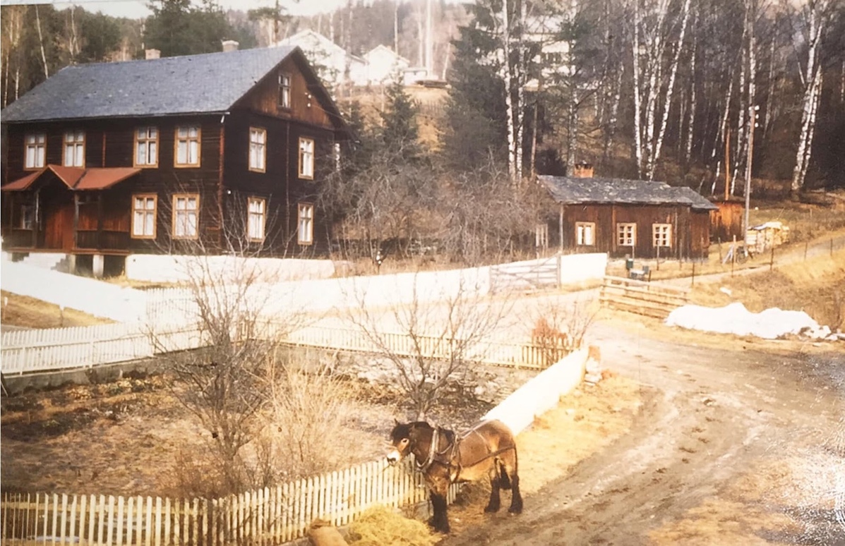 Et bilde som inneholder utendørs, konstruksjon, tre, hus

Automatisk generert beskrivelse